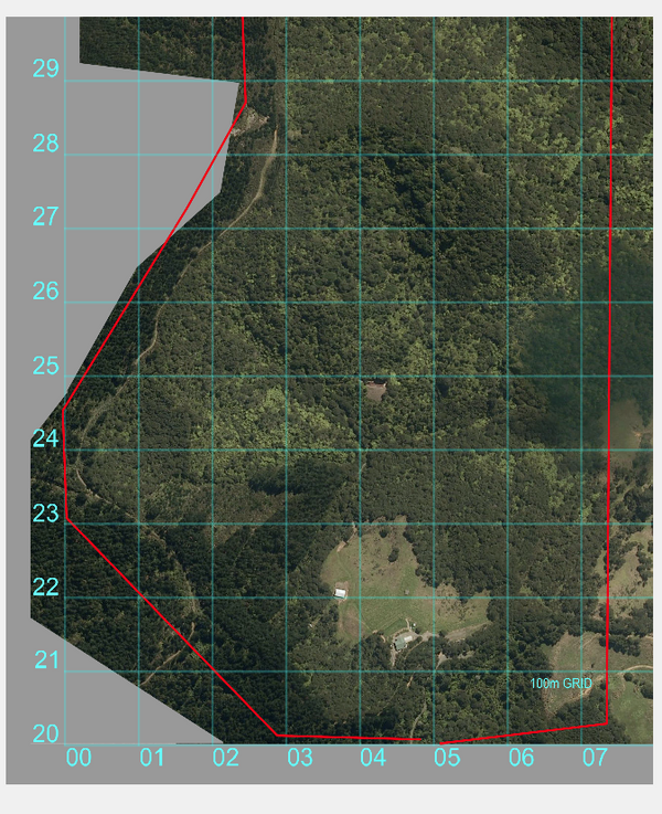 K1